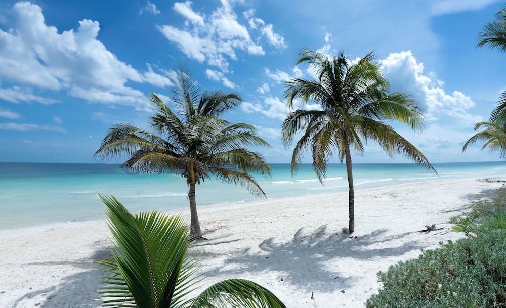 Hotel Pocna - carbon neutral hotel in Tulum