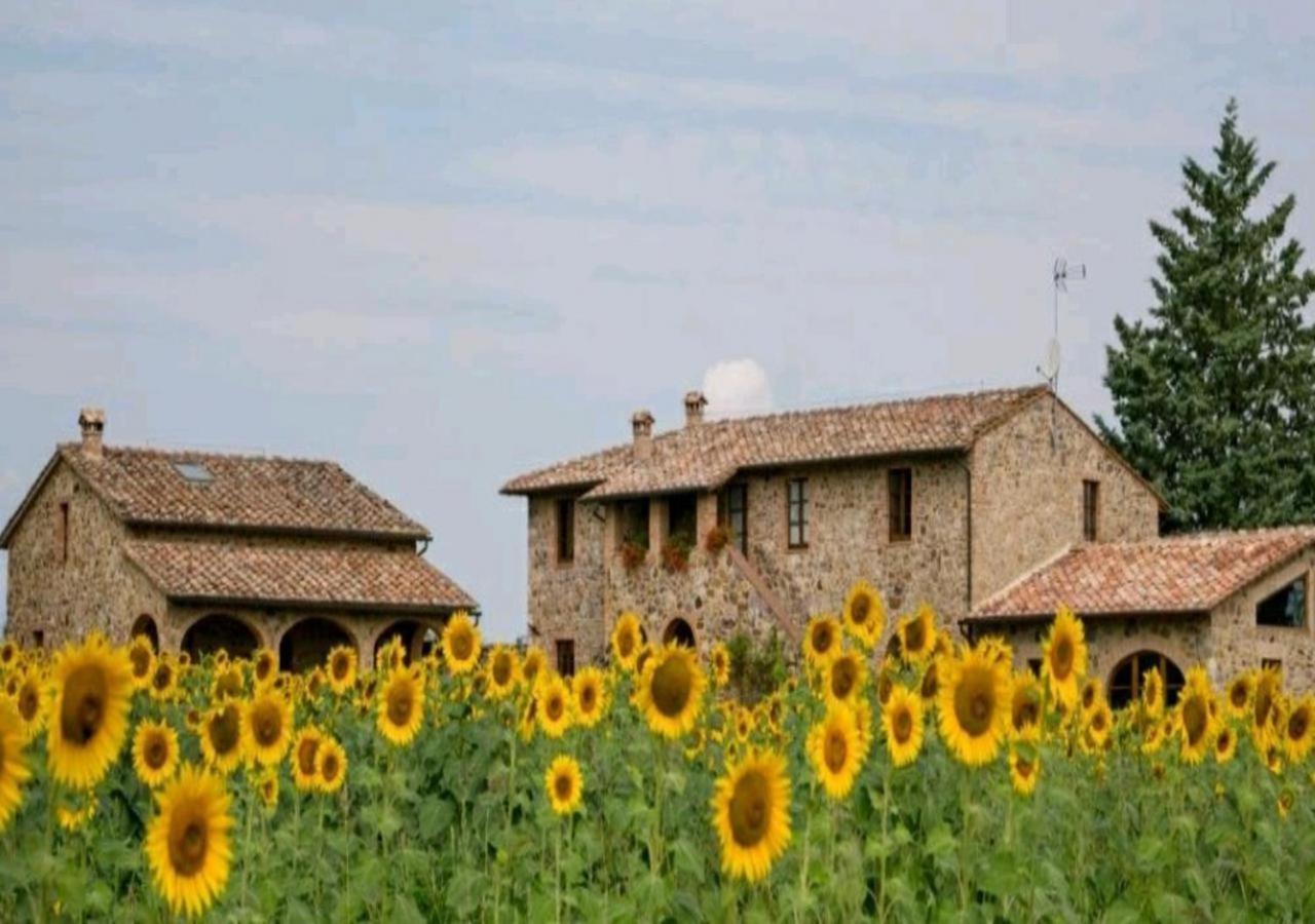 Casetta Della Pina — hotel in Monticiano