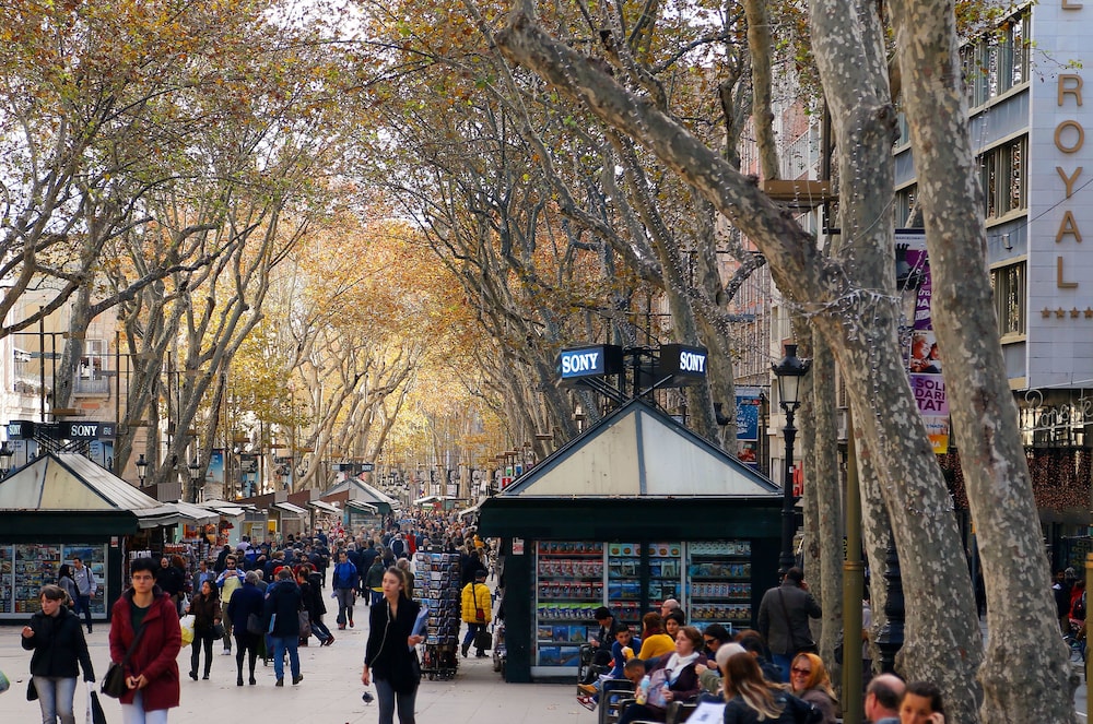 מראה חיצוני