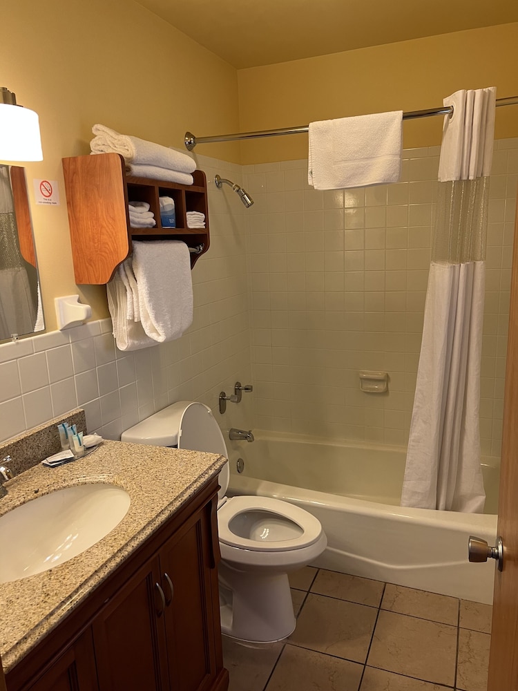 All Star Inn & Suites - photo 343