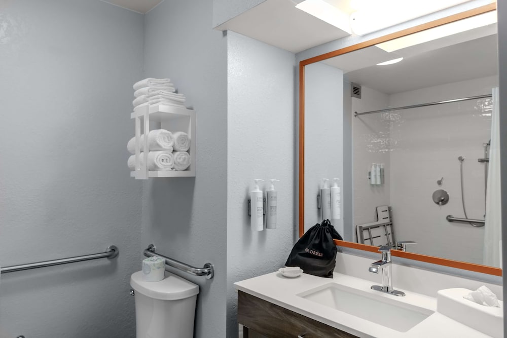 Hampton Inn Sarasota I 75 Bee Ridge - photo 14