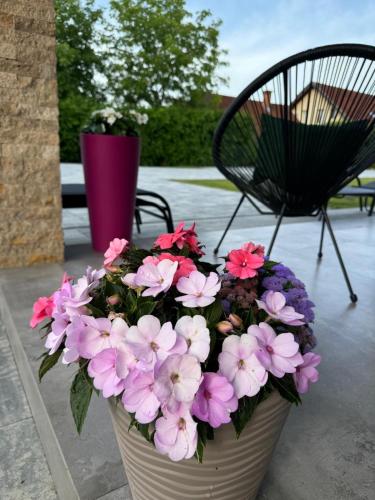 Casa Diamond Lux&Spa — Sovata — photo 4