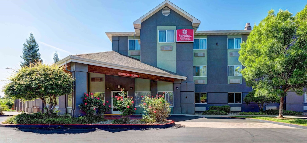 SureStay Plus Hotel by Best Western Redding - featured photo