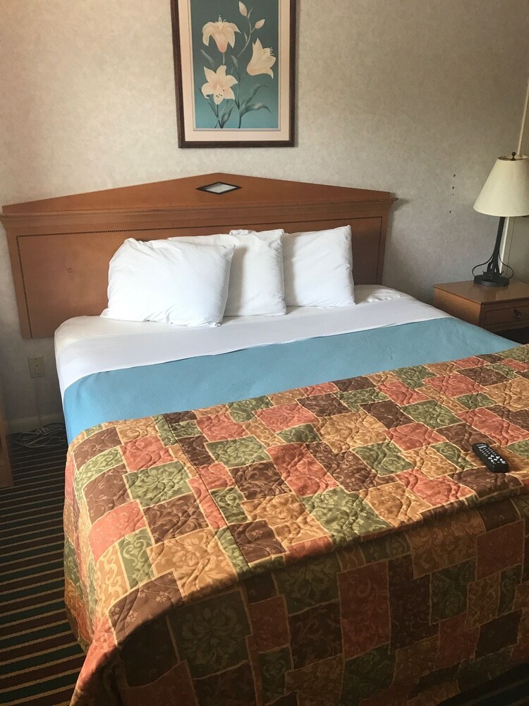 Budget Inn Timmonsville - photo 5