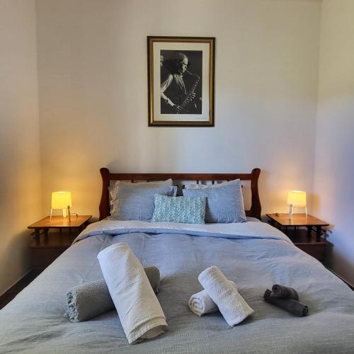 Arrifana Pines in Aljezur, Portugal