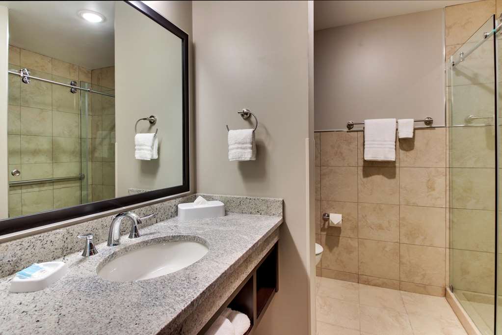 Drury Plaza Hotel Dallas Richardson - photo 45