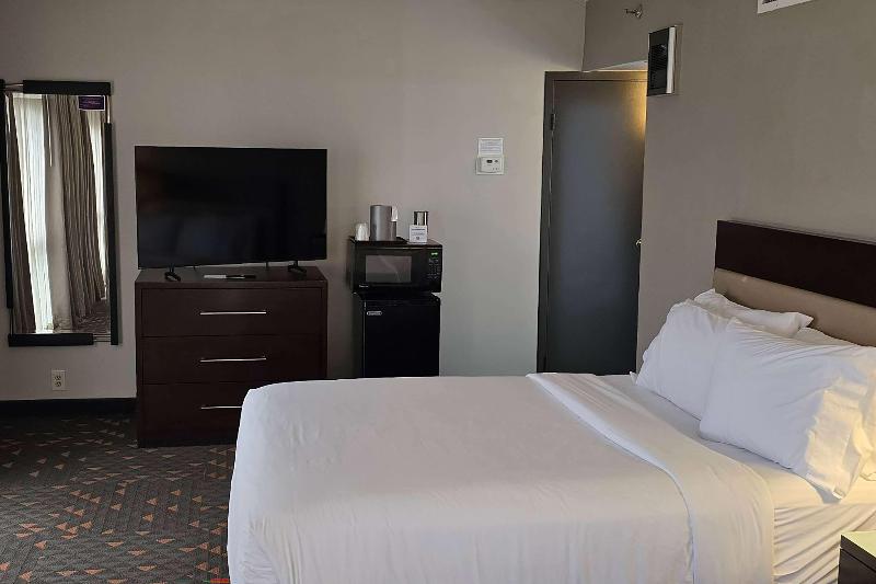 Wyndham Rochester Downtown - photo 21