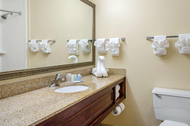 Ramada by Wyndham Shreveport Airport - photo 24