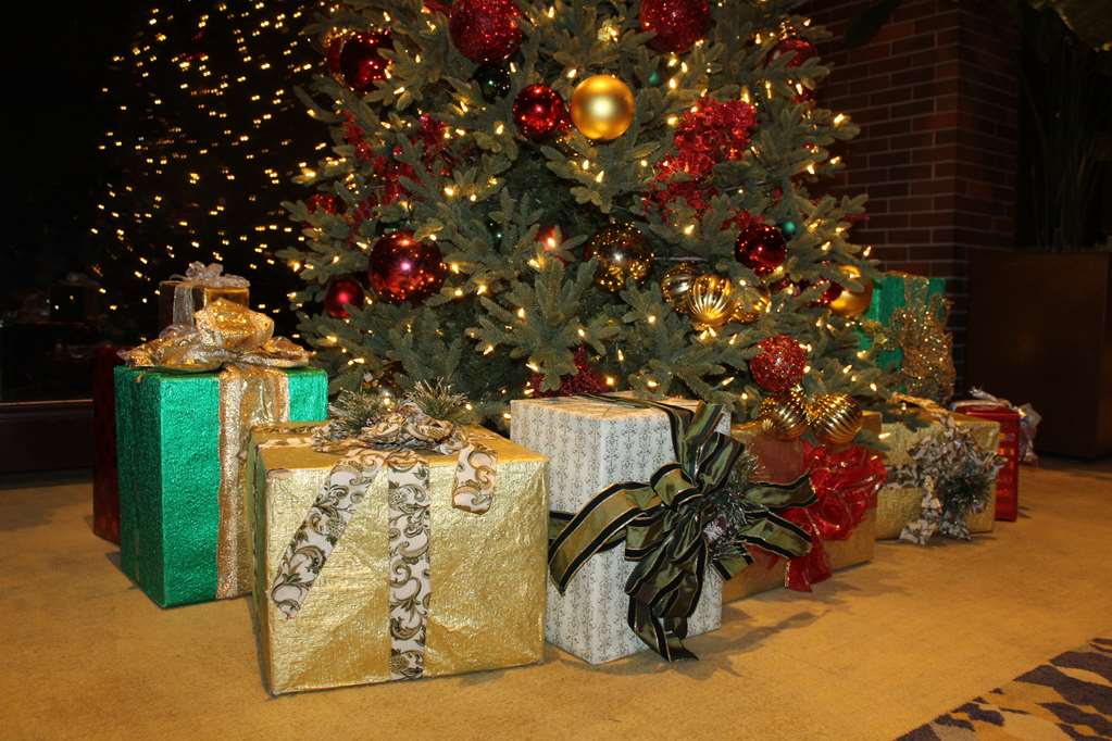 Hyatt Lodge Oak Brook Chicago - photo 58