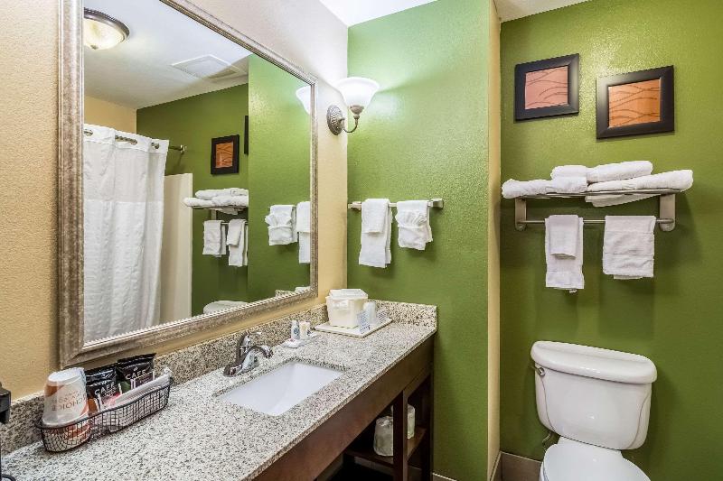 Comfort Inn & Suites Panama City North - photo 52