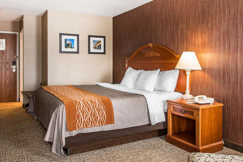 Comfort Inn Chelsea MI - photo 10