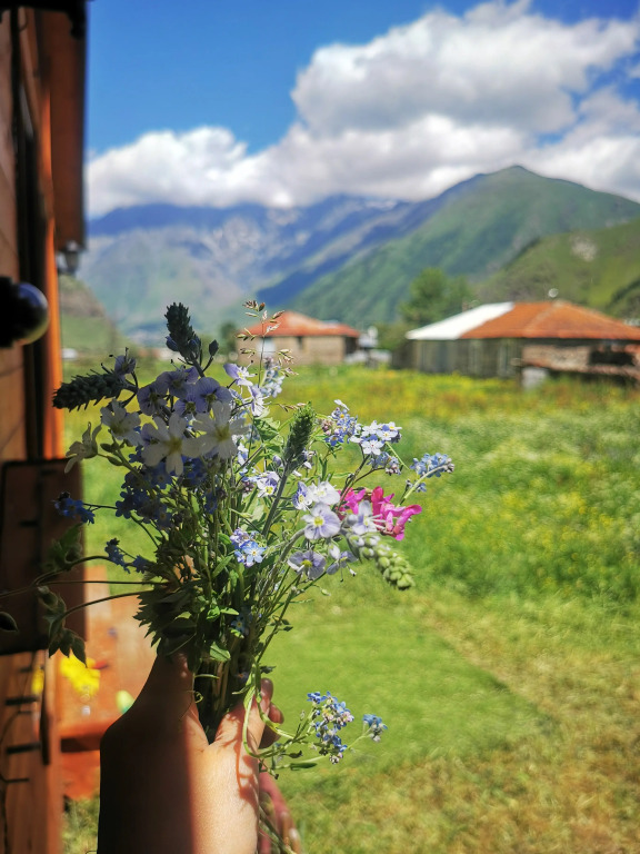 Kazbegi Mountain Cottage MTA Shi