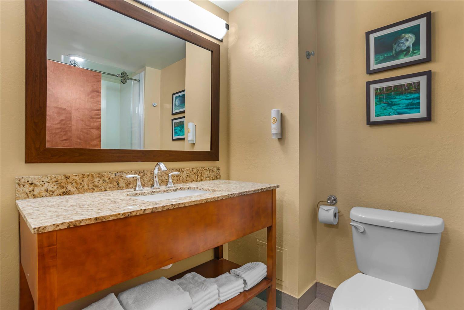 Comfort Suites Tallahassee Capitol University Area - photo 18