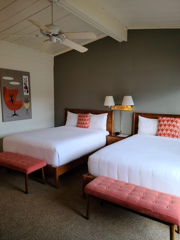 Contenta Inn - photo 6