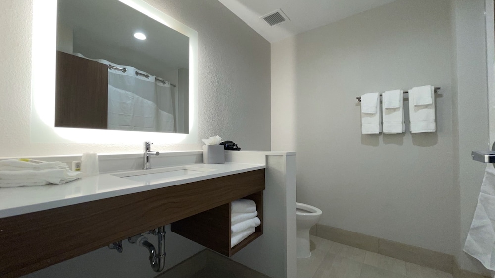 Holiday Inn Express & Suites Dallas Central Market Center by IHG - photo 26