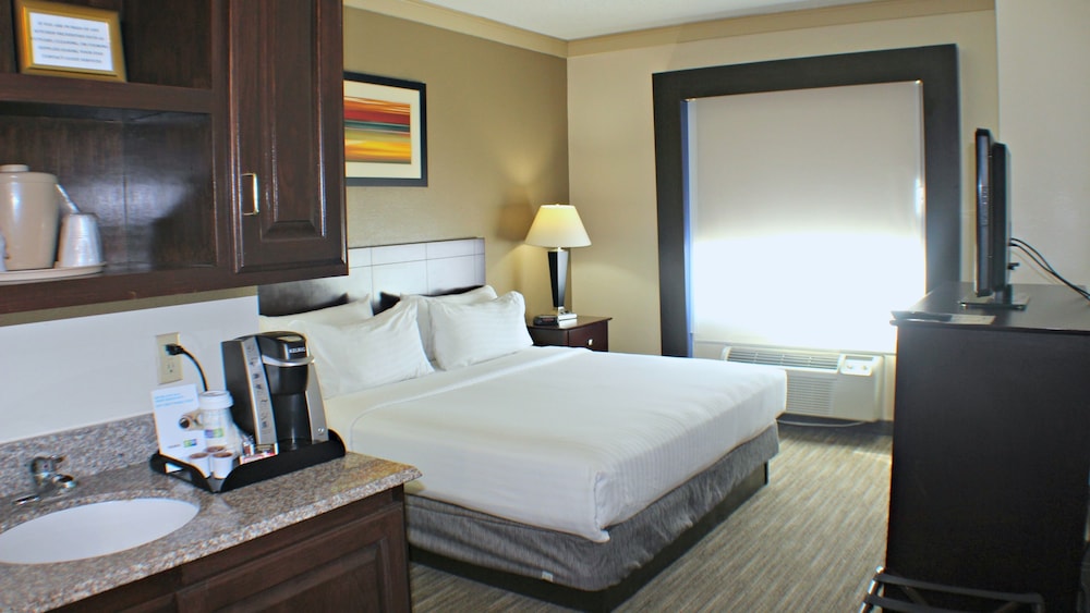 Holiday Inn Express & Suites Plainview by IHG - photo 6