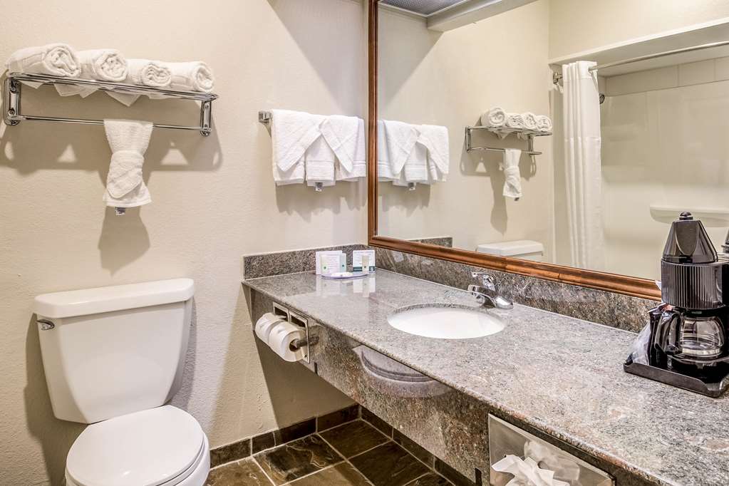 Quality Inn & Suites Seabrook NASA Kemah - photo 5