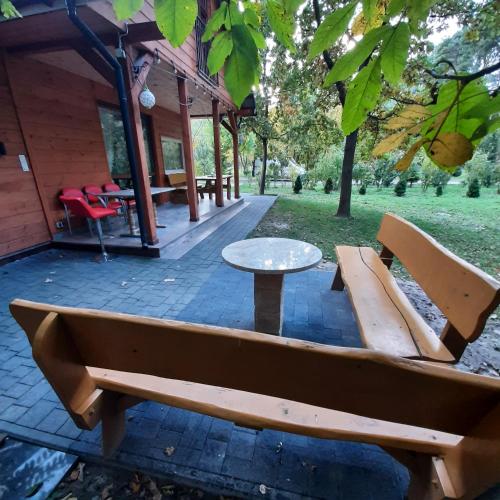 Roztocze 3 kroki od sosny in Zamosc, Poland