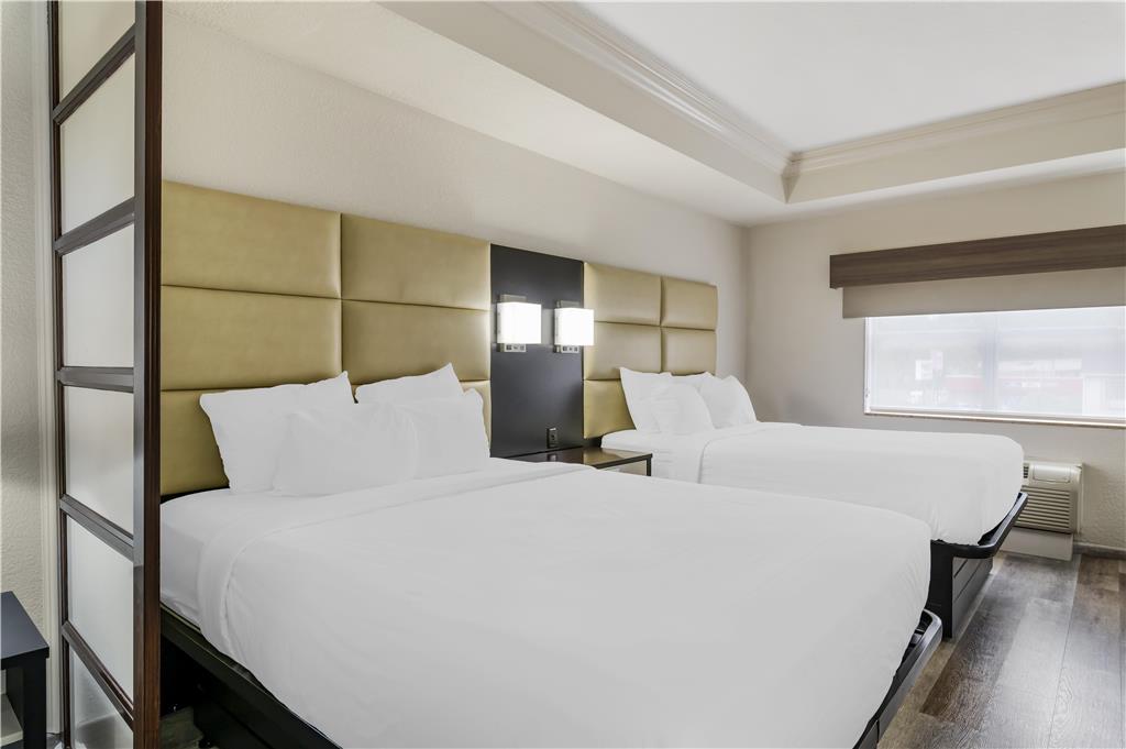 Best Western Plus JFK Inn & Suites - photo 15