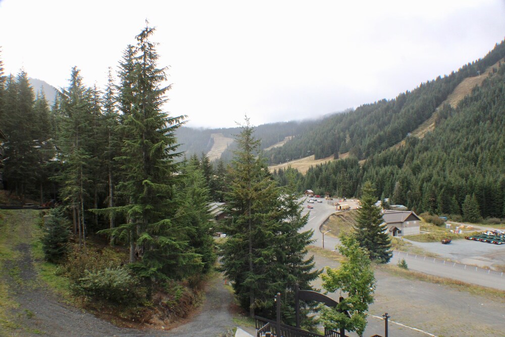 Crystal Chalets Condominiums at Crystal Mountain Ski Resort - photo 183