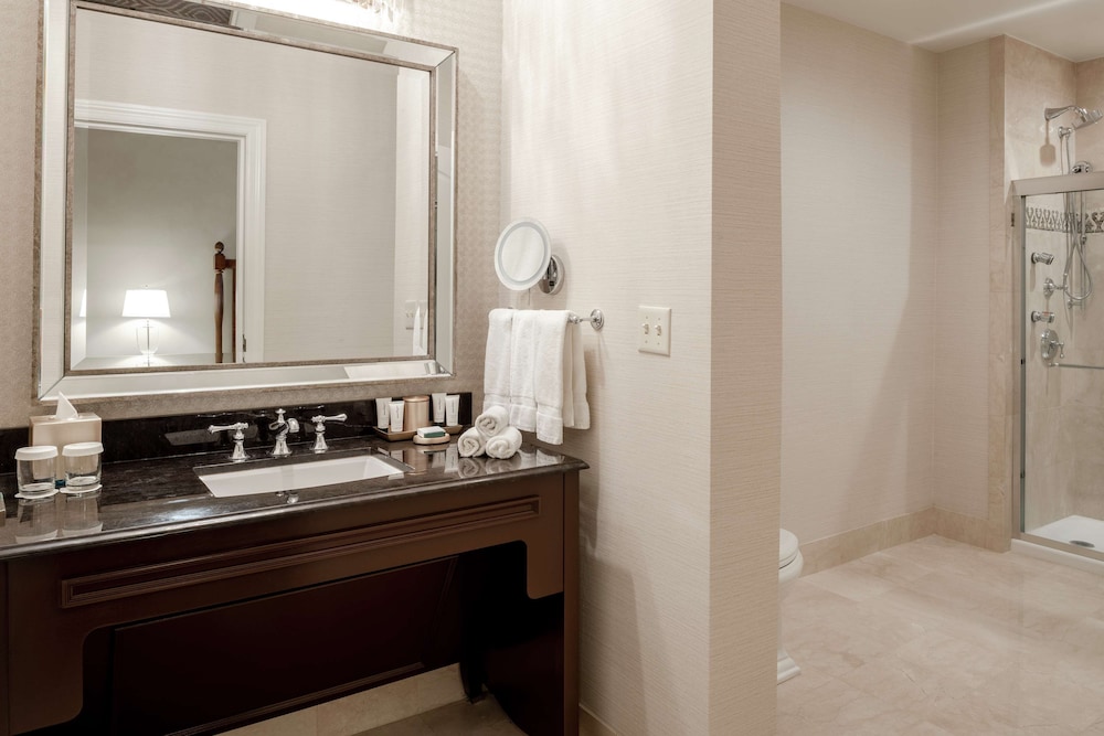 The Roosevelt New Orleans A Waldorf Astoria Hotel - photo 106