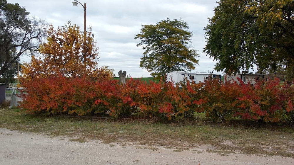 Meadow Park Motel on 385 - photo 24