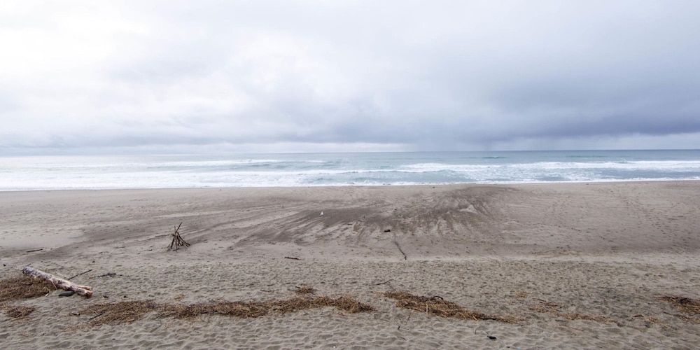 The Sandcastle Beachfront Hotel - photo 99