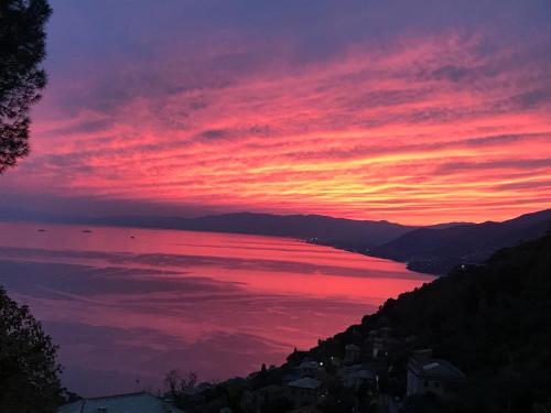 Ruta A&G — 4-Star Luxury Hotel in Camogli, Italy