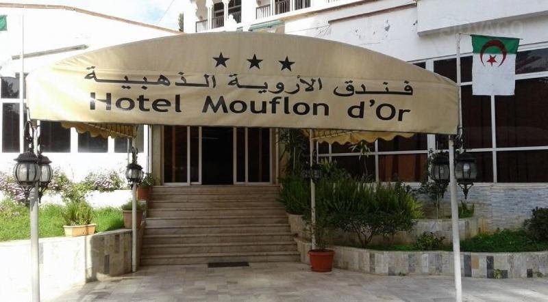 Moflon D or in Algiers, Algeria