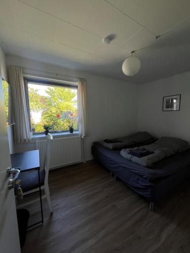 Hos Heidi in Fredericia, Denmark