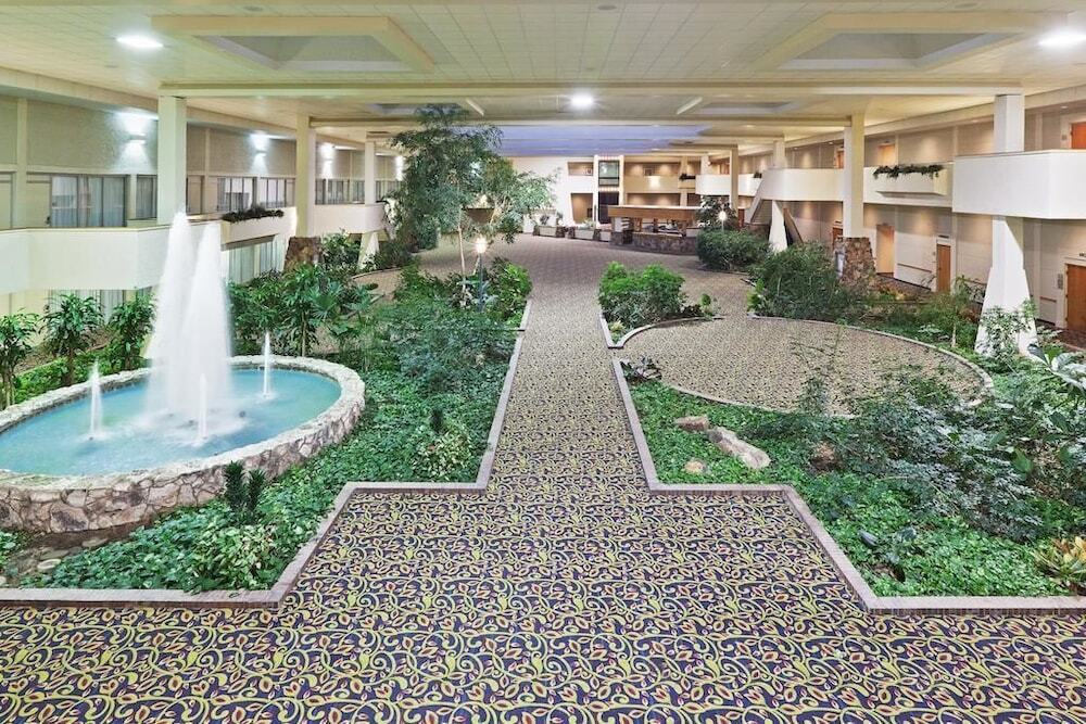 Hotel Ava - photo 6