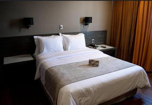 Hotel Zela Inn Tacna Perú in Tacna, Peru