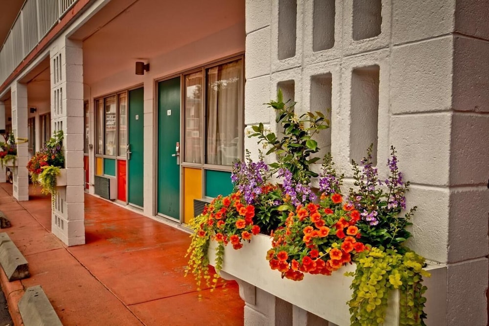 Thunderbird Inn - photo 35