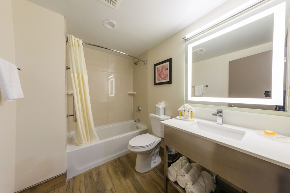 Holiday Inn Brookfield Milwaukee by IHG - photo 26
