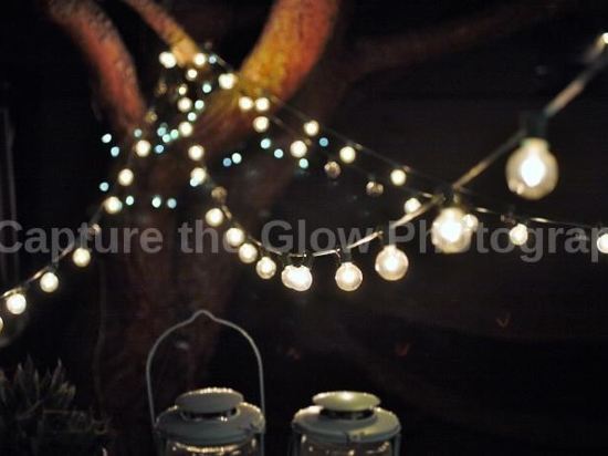 Solar Powered Spanish Charmer - photo 19
