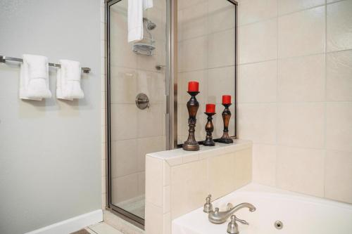 Mvc Sweet Penthouse - photo 51