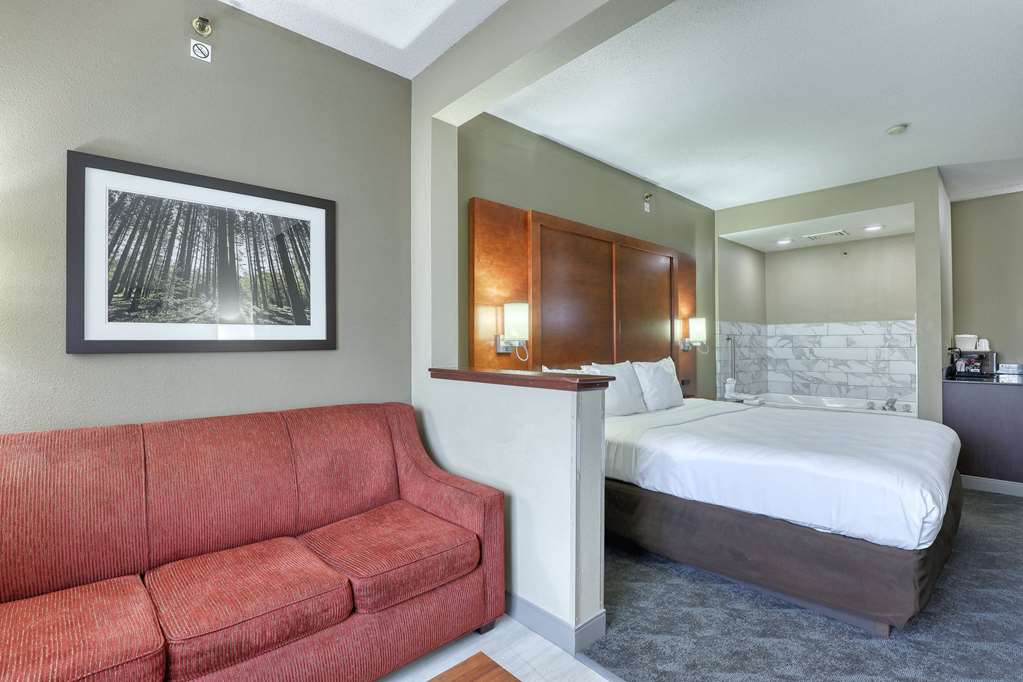 Comfort Suites Madison West Middleton - photo 41