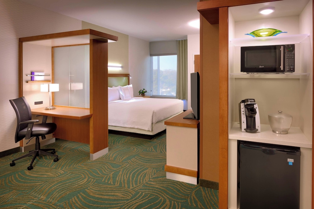 Springhill Suites Houston I 45 North - photo 7