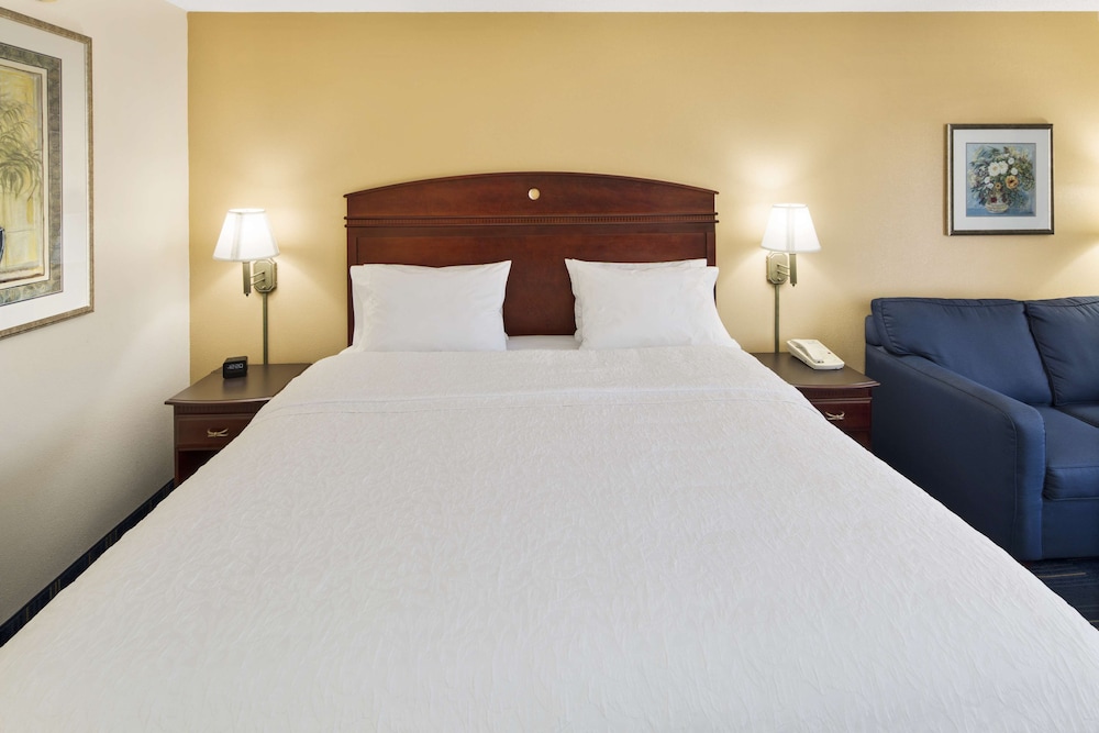 Hampton Inn Hinesville - photo 9