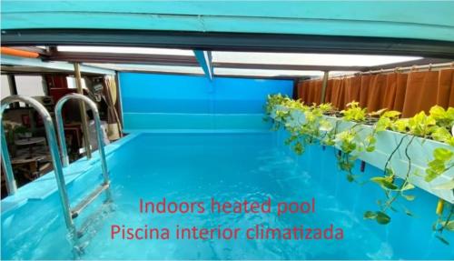 Las Vistas — 4-Star Luxury Hotel in Valleseco, Spain