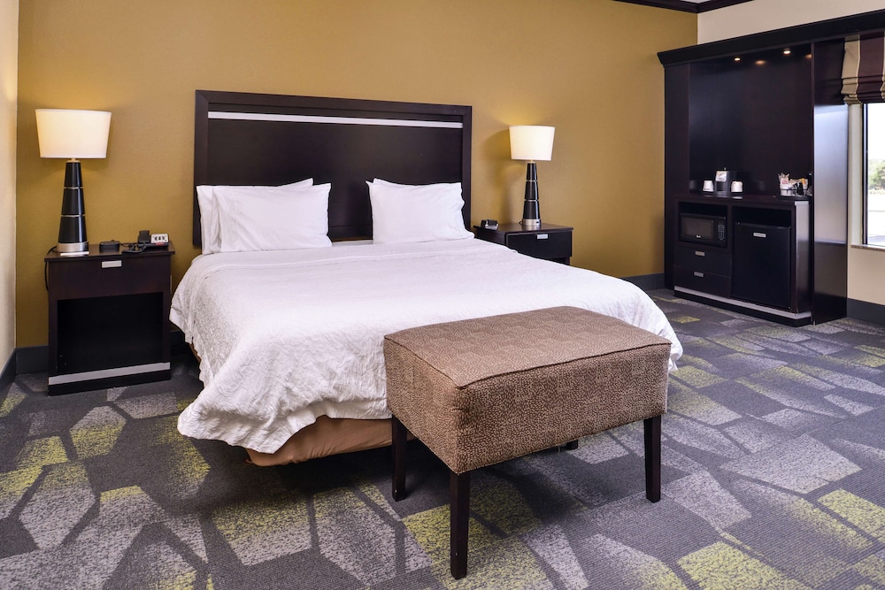 Hampton Inn & Suites Big Spring - photo 4