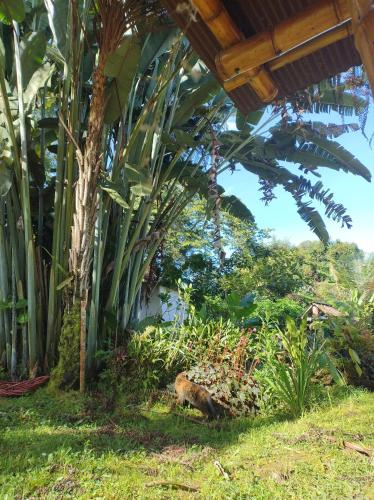 Cabaña El Otoño — hotel in Pijao