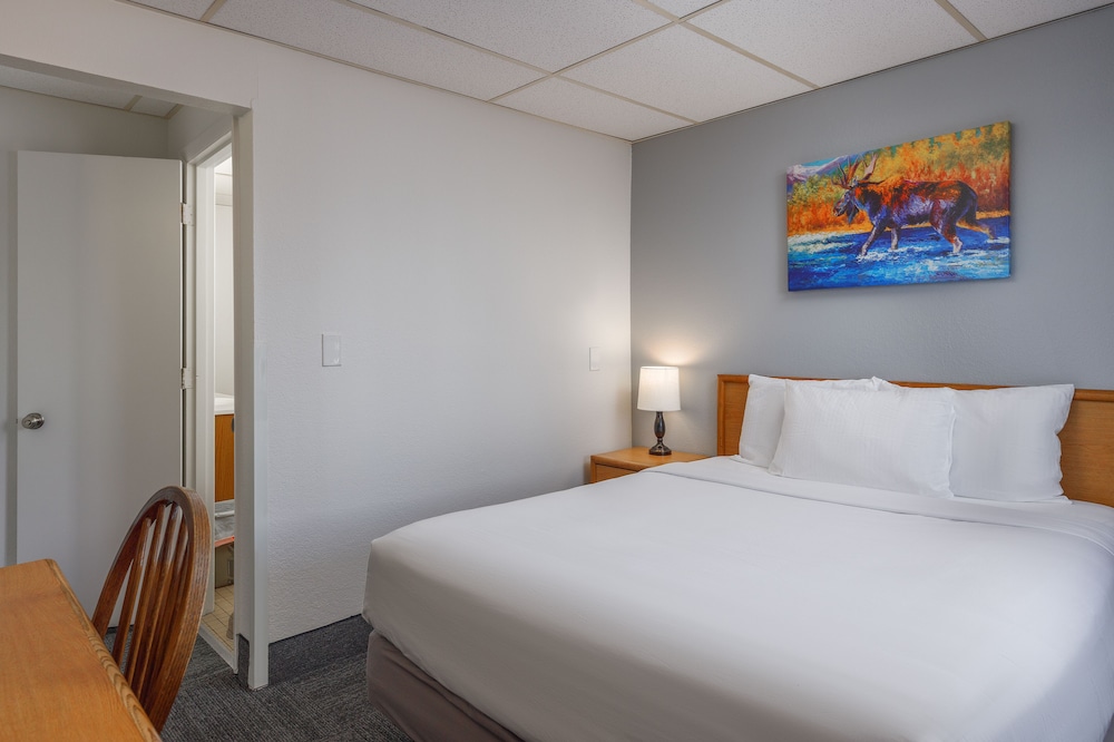 Golden North Inn - photo 8