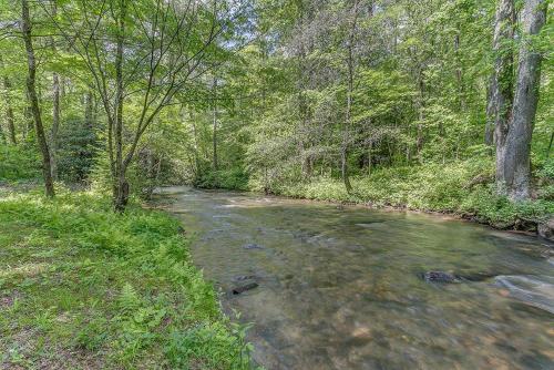 A River Runs Through It - last minute hotel in Blue Ridge