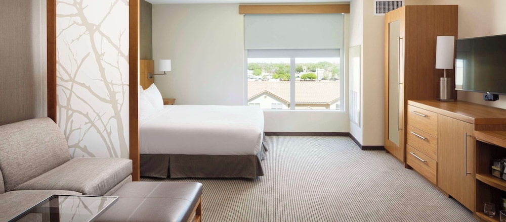 Hyatt Place Lubbock - photo 16