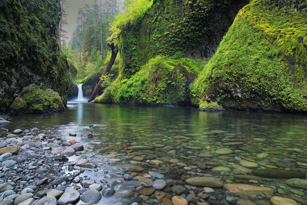 Under Canvas Columbia River Gorge - photo 27