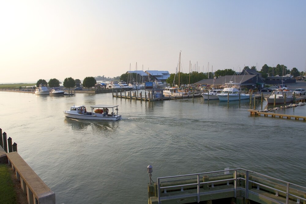 Knapps Narrows Marina & Inn - photo 13