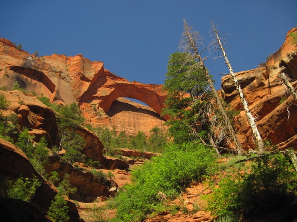 Holiday Inn La Verkin Zion Park by IHG - photo 66