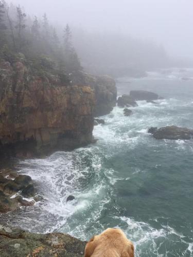 Corea Harbor's Black Duck Inn - photo 41