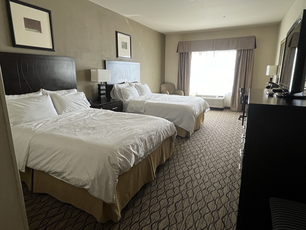 Holiday Inn Express Hotel and Suites Deming Mimbres Valley - photo 3